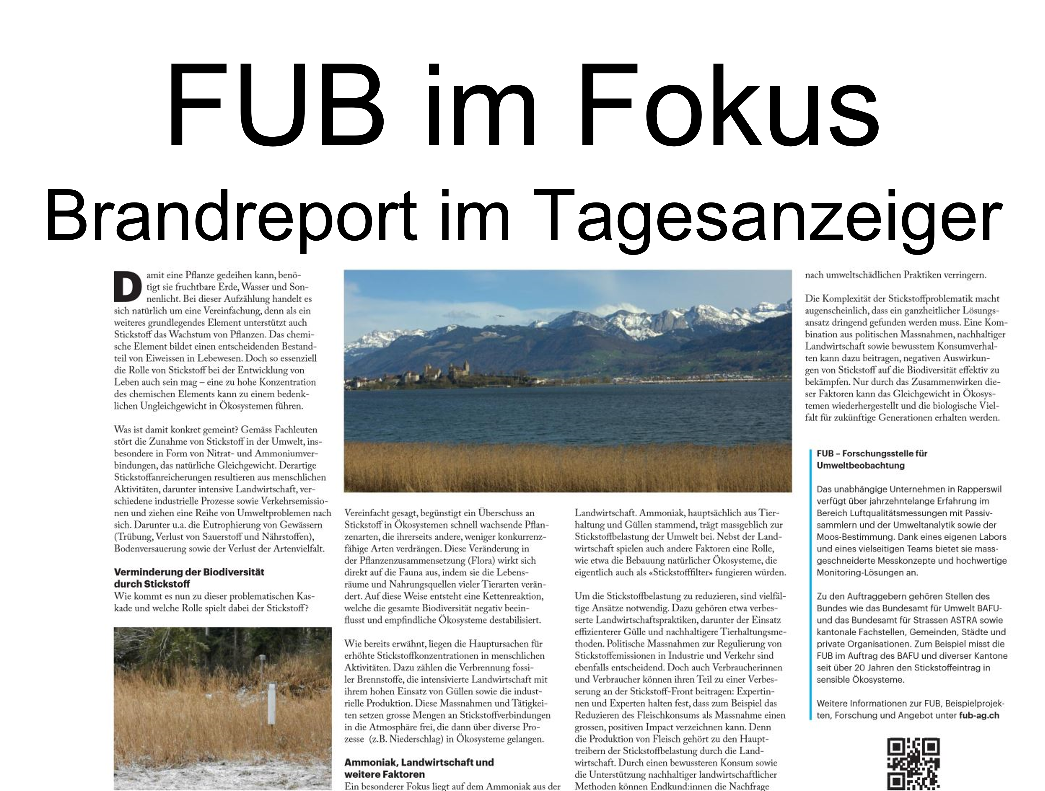 FUB im Fokus