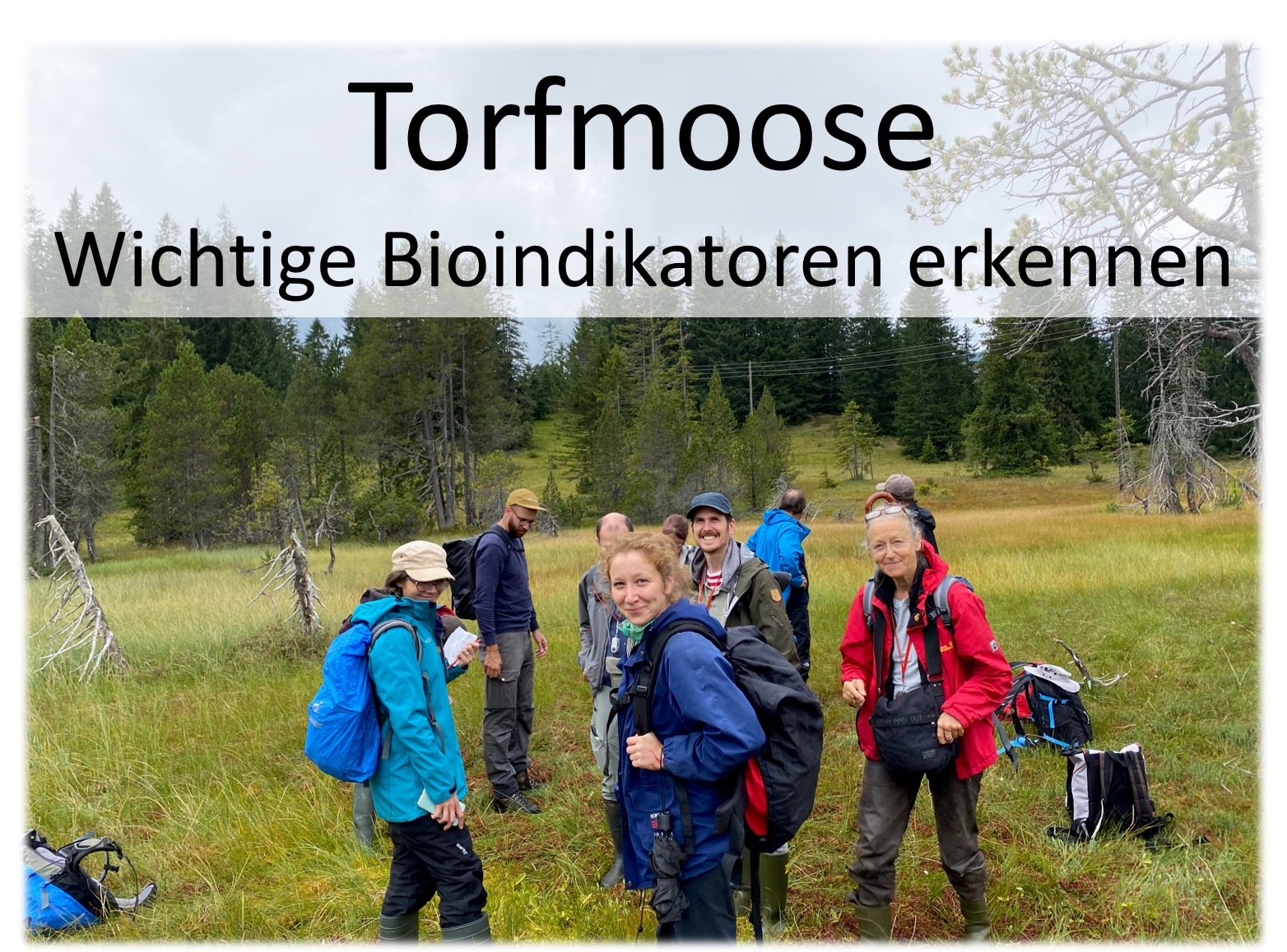 Torfmooskurs