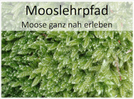 postMooslehrpfad